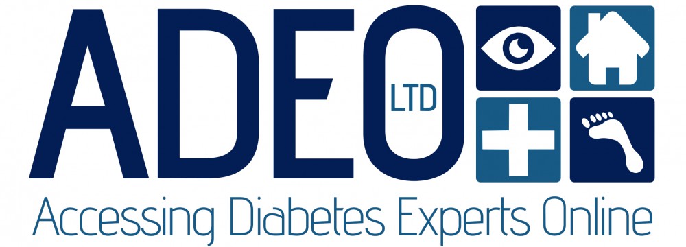 Accessing Diabetes Experts Online